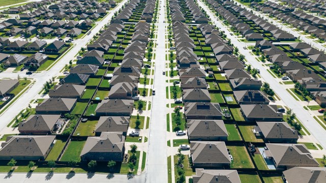 "I … appreciate your chutzpah."