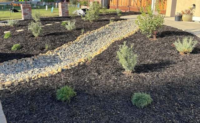 "This garden is really coming to its own."