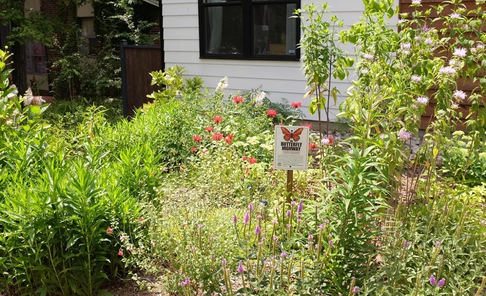 "This looks great!" one commenter wrote.