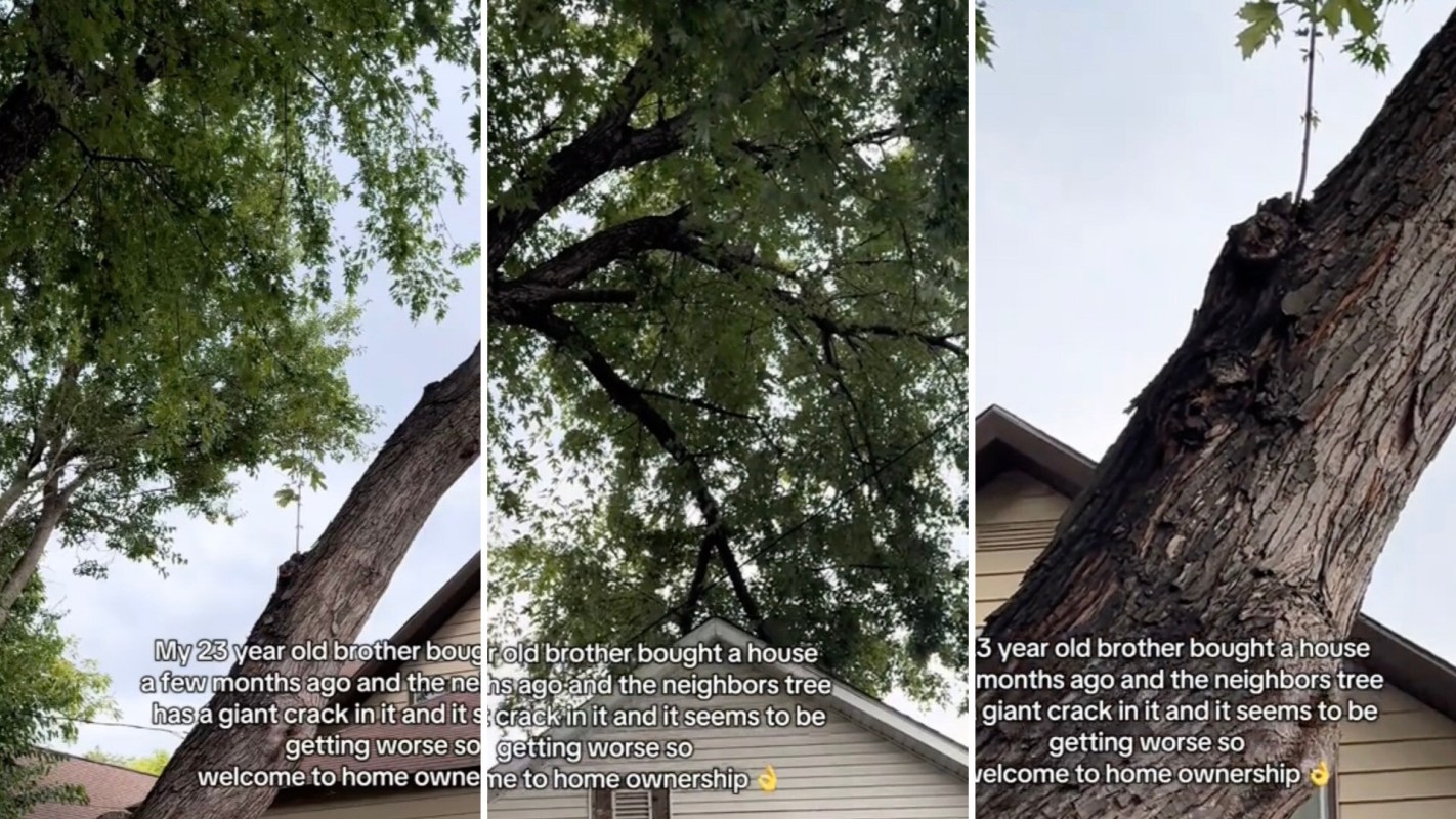 Commenters were quick to weigh in.