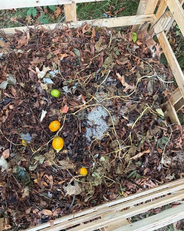 "Can't believe I have to deal with this now."