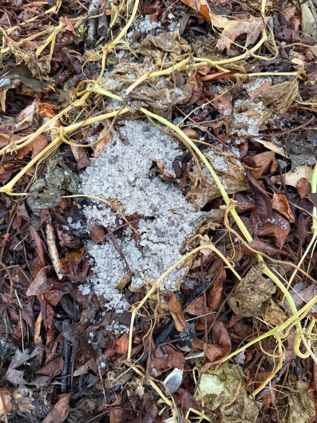 "Can't believe I have to deal with this now."