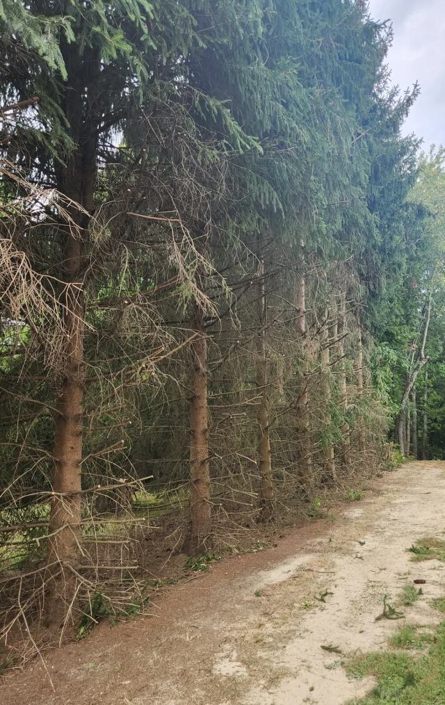 "It's against the law in a lot of states."