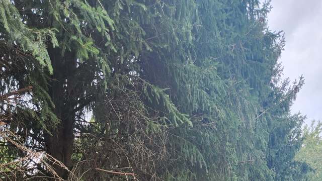 "It's against the law in a lot of states."