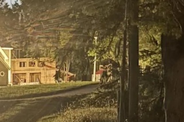 "Literally disturbing the whole neighborhood!"