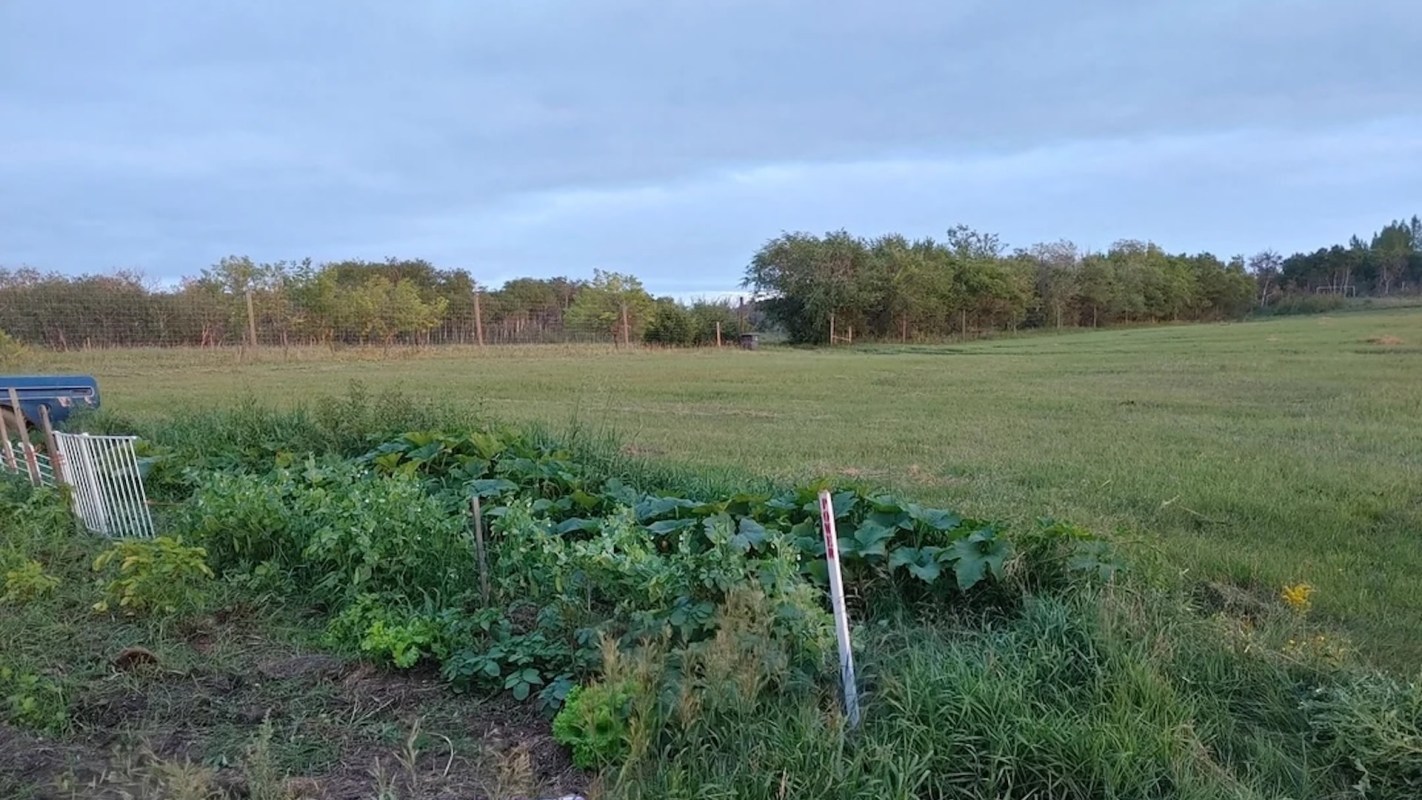 "Keep up the good work!"