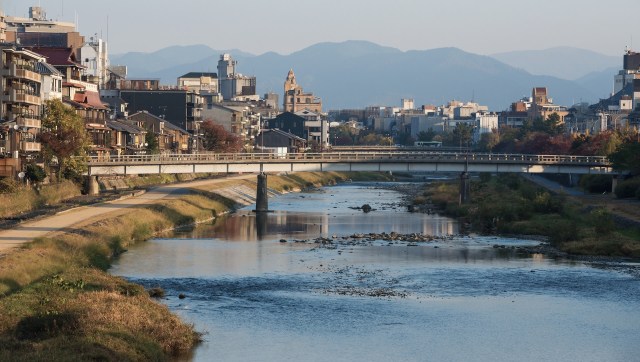 "It tastes great, and I see no issues with it as a marketable product."