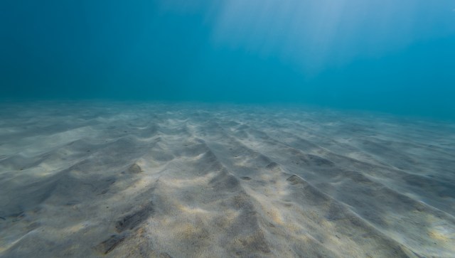 "We were absolutely thrilled."