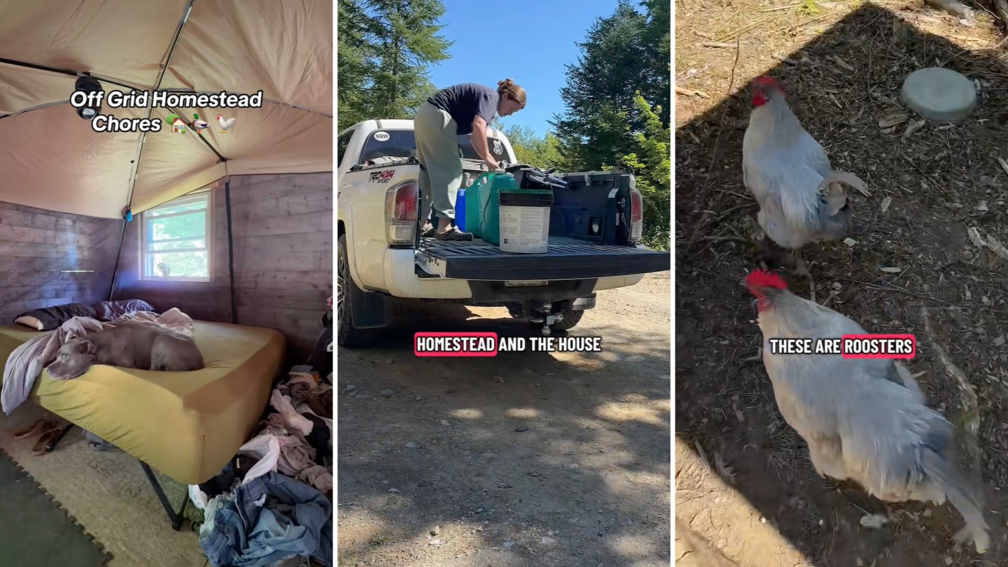 "That must be really hard work every day."