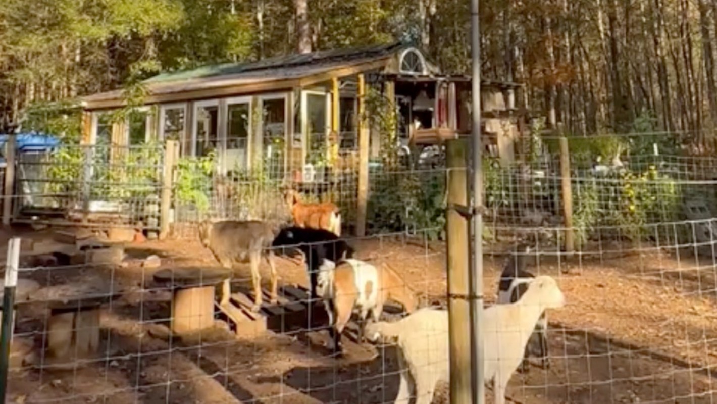 "You have a beautiful home!"