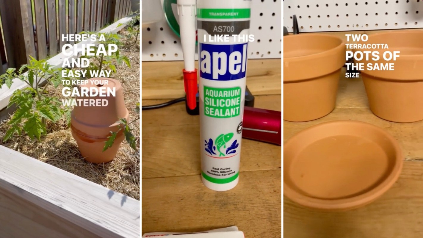 "Thank you for this."