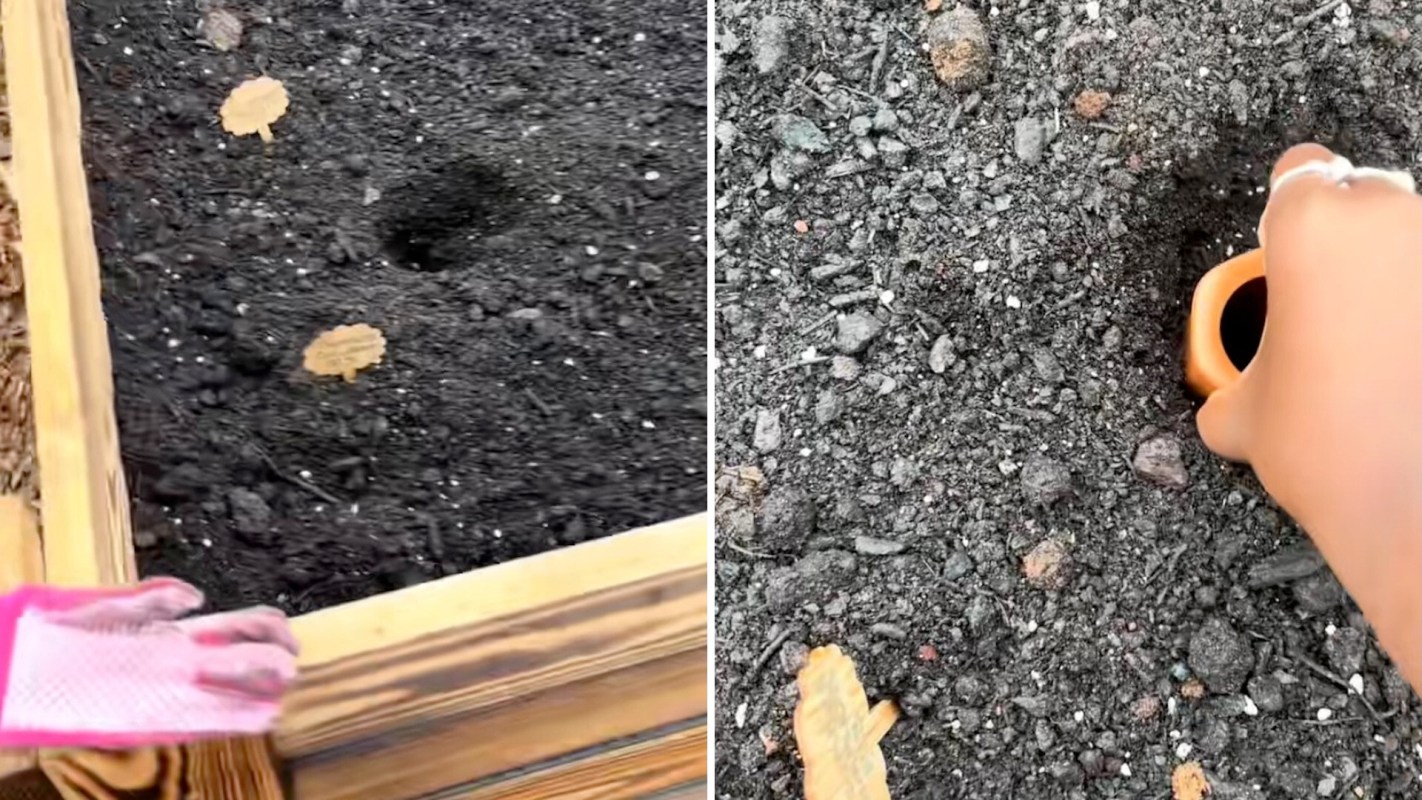 "They have been a life saver!!!"