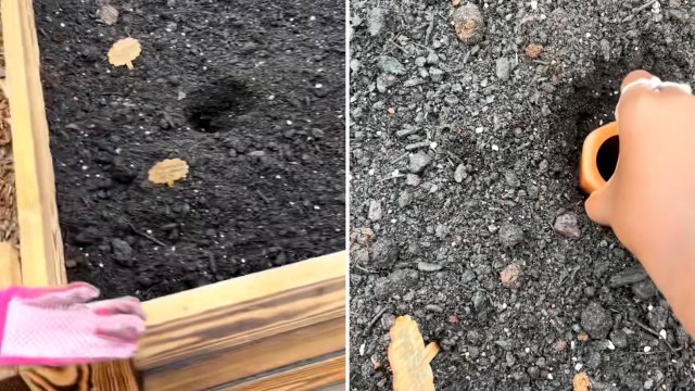 "They have been a life saver!!!"