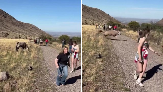 "They think they’re in no danger and could end up dead!"