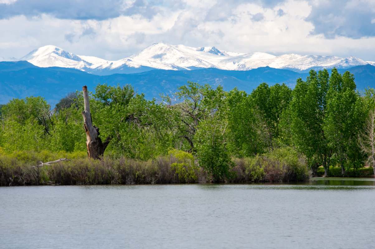 "You don’t have to take part in the killing."