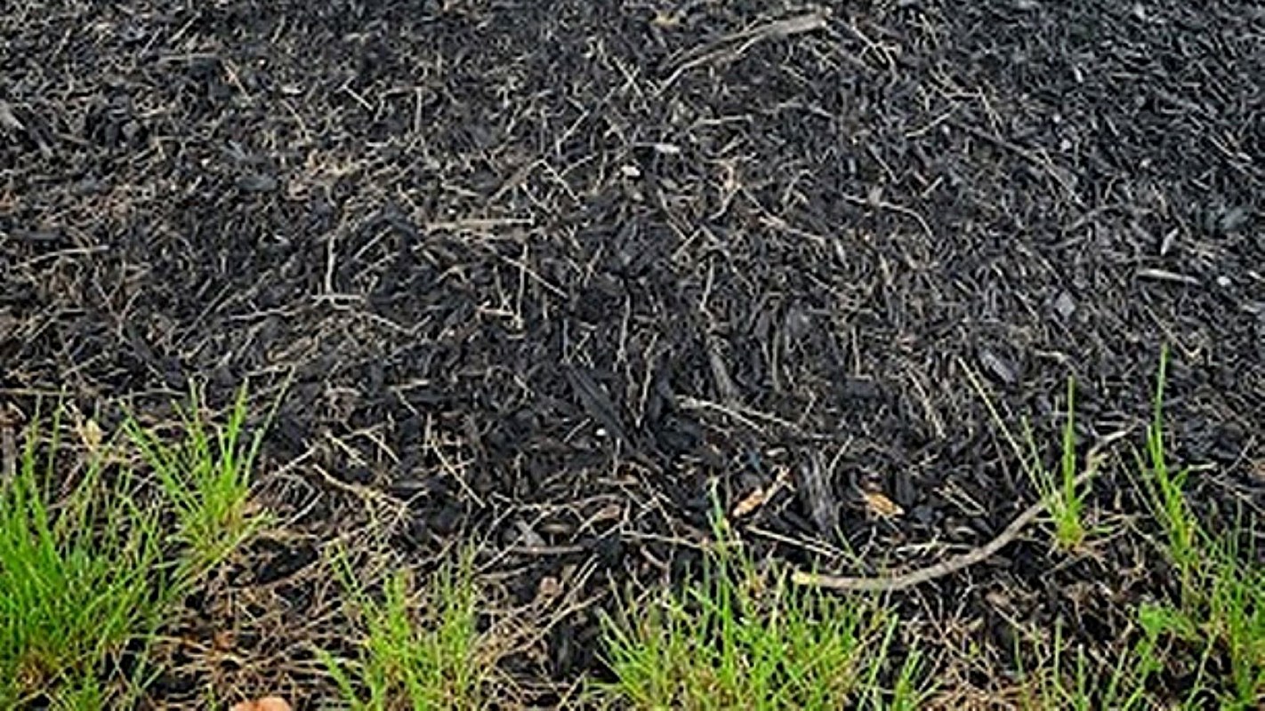 "I don’t understand why landscape companies still do this."