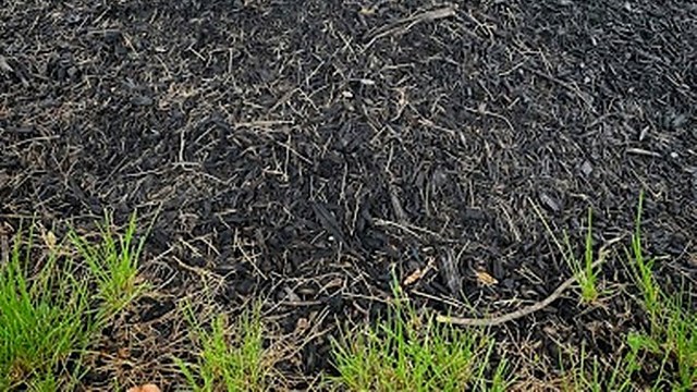 "I don’t understand why landscape companies still do this."