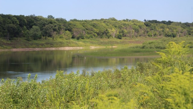 "To find [one] was a surprise."