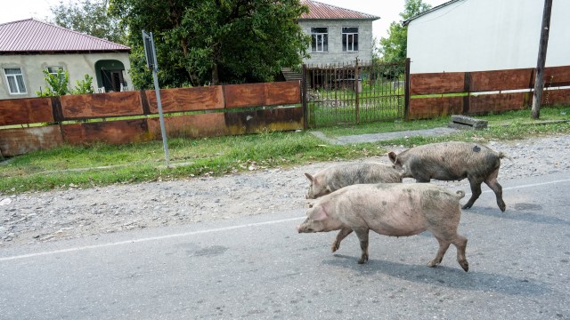 "Please drive extra carefully."