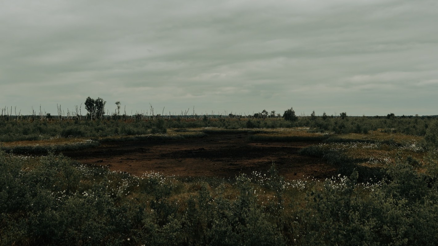 "A hugely positive step."