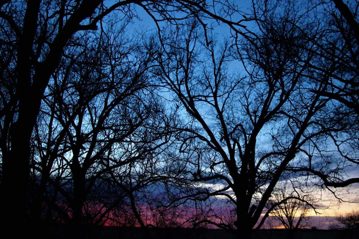 "May also impact future yields."