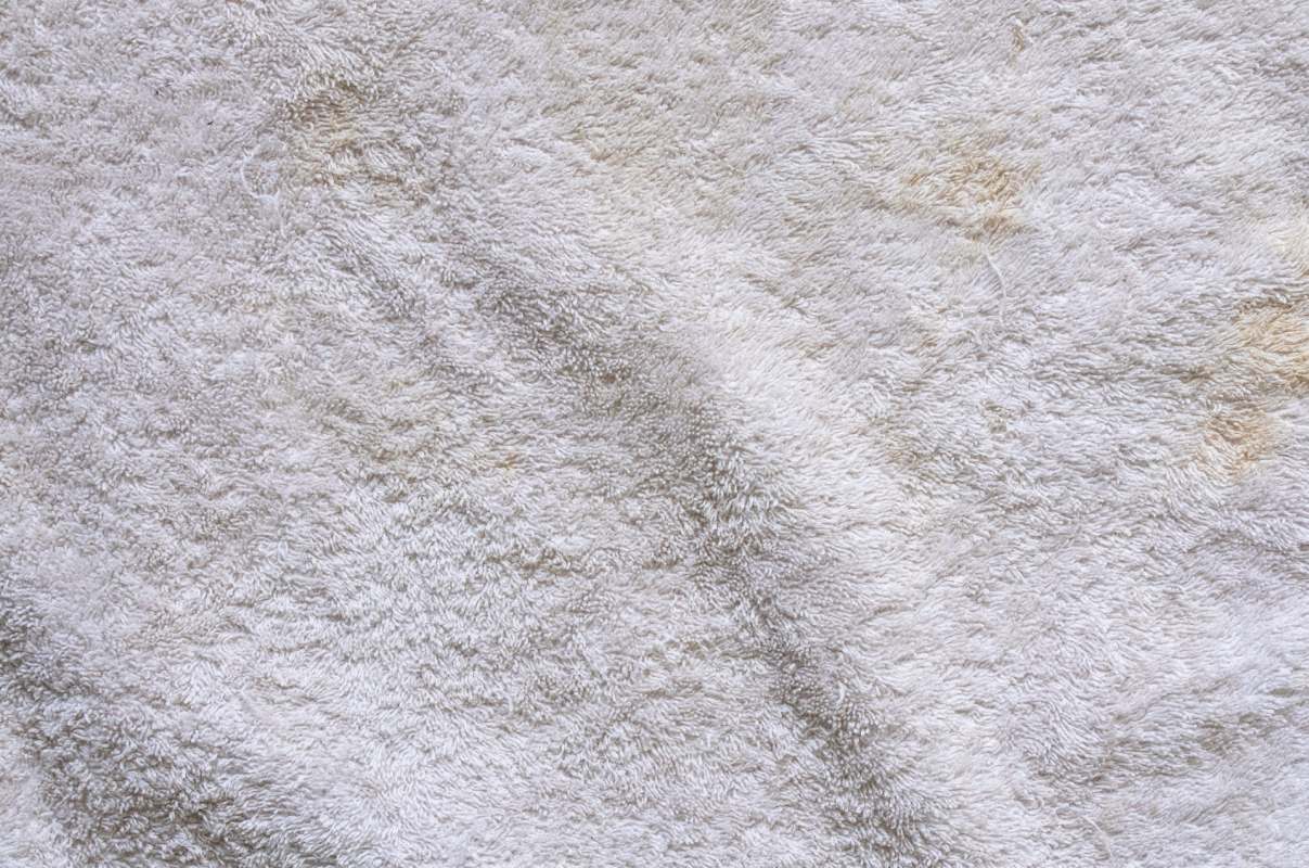 "Wow, this is a good trick!"