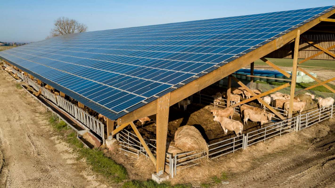 It proved lucrative.