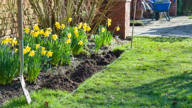 "Do you want a nice landscape or a third-class one?"