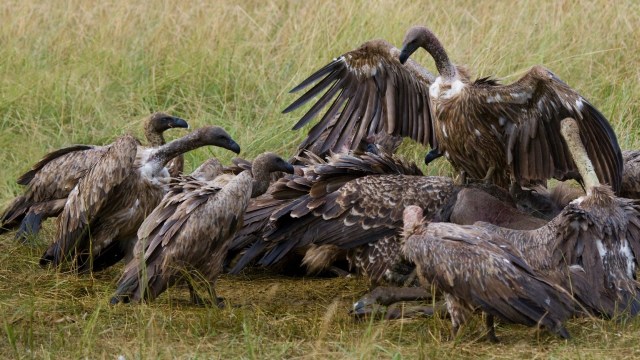 "This problem needs urgent attention."