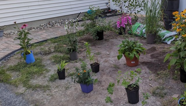 "Amazing work and beautiful garden!"