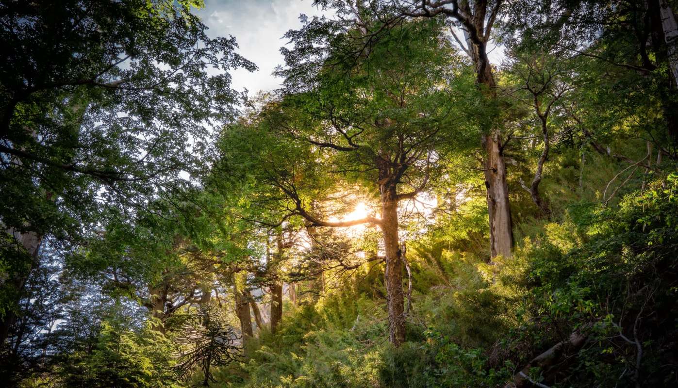 This was a long-suspected behavior given the overlap of habitats, but it had never previously been observed.