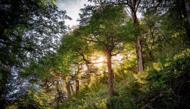 This was a long-suspected behavior given the overlap of habitats, but it had never previously been observed.