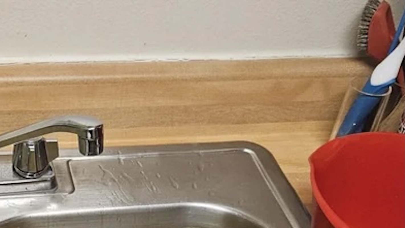 "Absolutely disgusting."