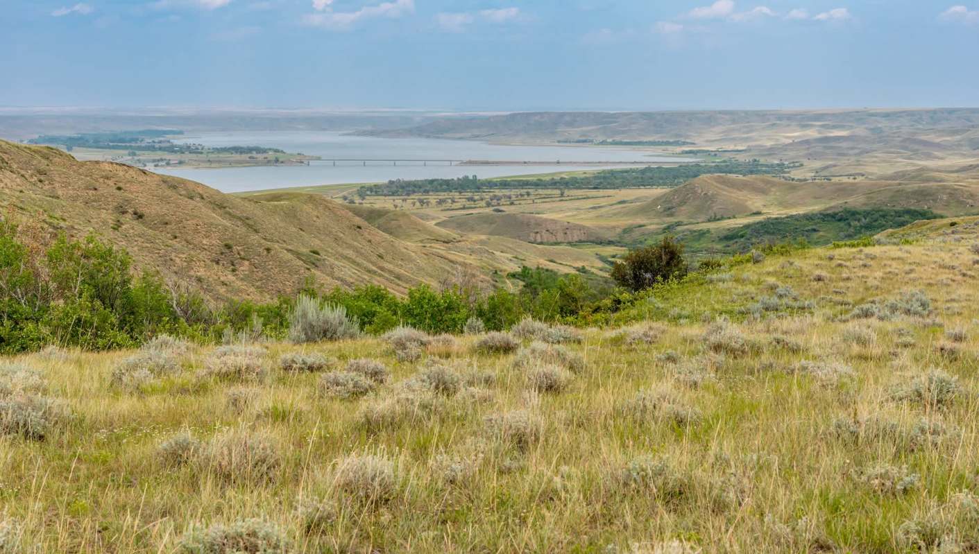 They revealed clear connections.