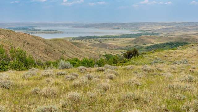 They revealed clear connections.