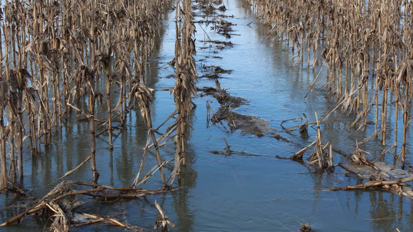 The instability presents a major threat to the nation's — and the world's — long-term food security.