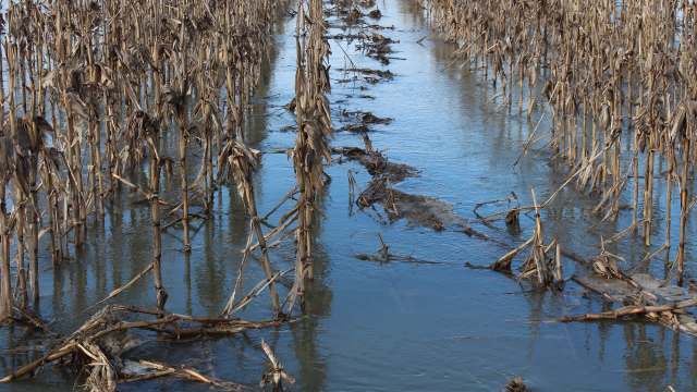 The instability presents a major threat to the nation's — and the world's — long-term food security.