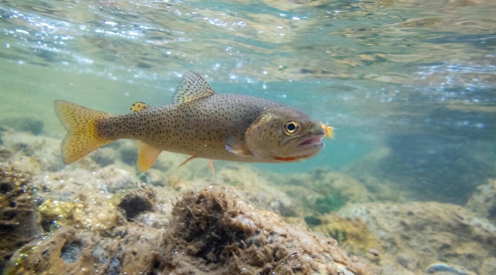 There's every reason to be optimistic.