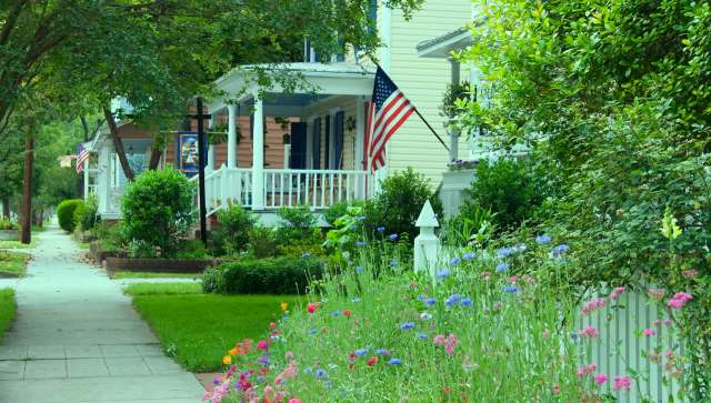 Human-animal conflicts like these have been increasing in recent years.