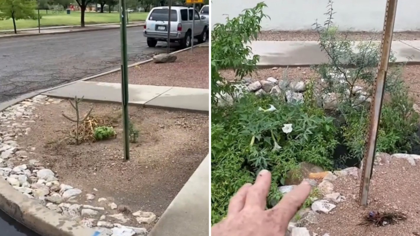 "Absolutely brilliant."