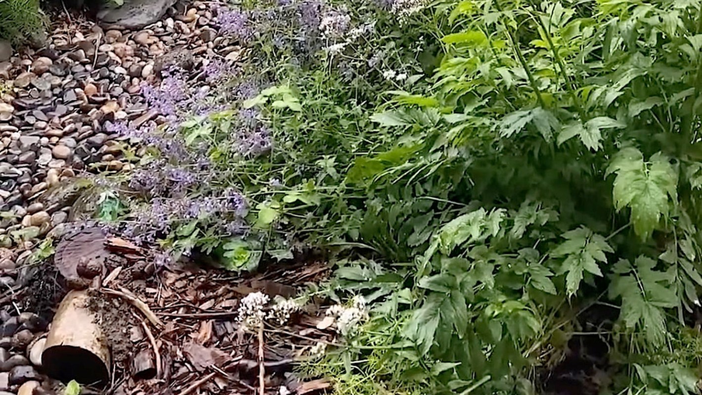 "Yours inspired mine!"