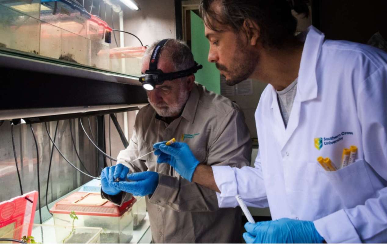 It demonstrates that perseverance and hard work can pay off.