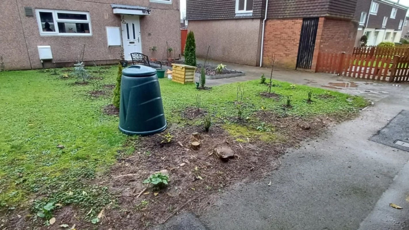 "Congratulations, looks amazing!"