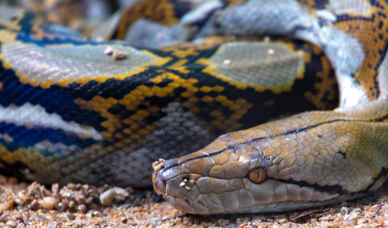 You can support wildlife centers by donating money and volunteering.