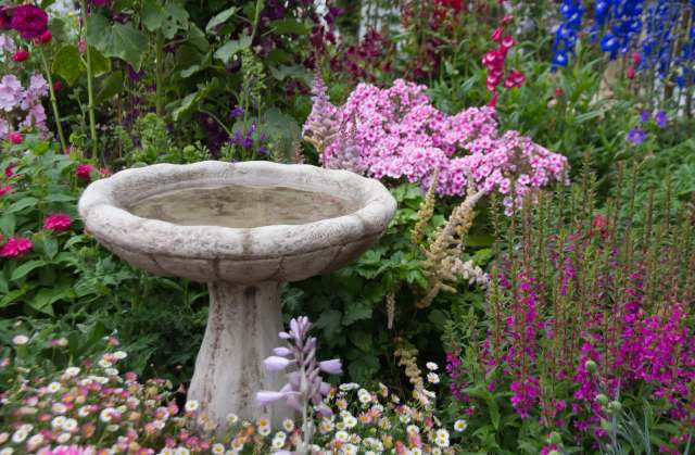 "She's admiring that gorgeous garden."