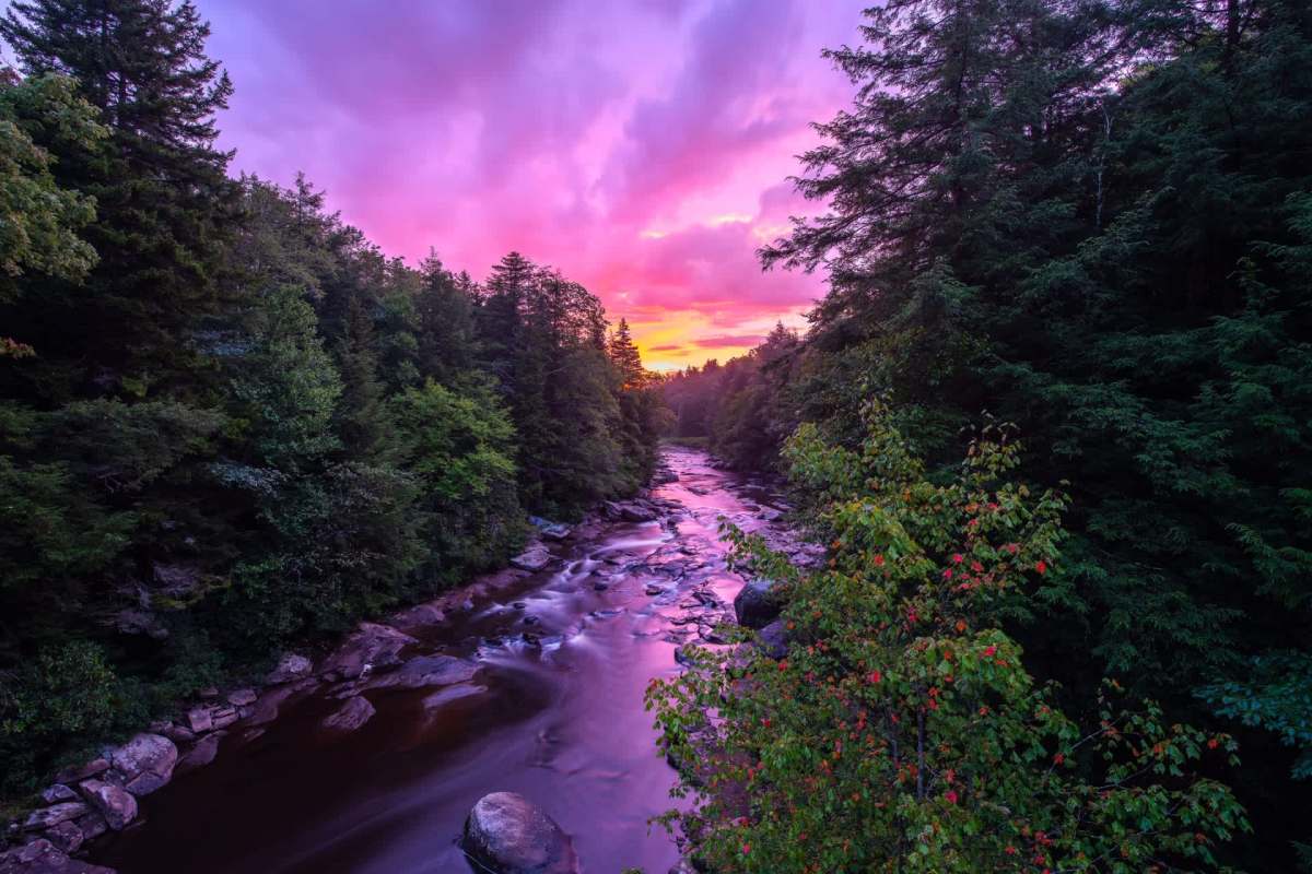 The findings were characterized as relatively novel, but that doesn’t mean solutions exist in the far-flung future.