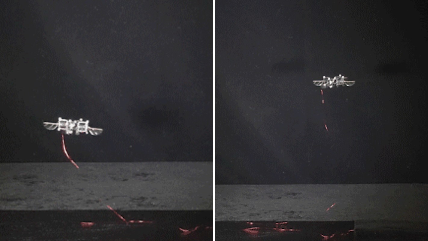 They can do double flips and rolls.