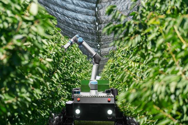 This mechanical intelligence is changing the game.