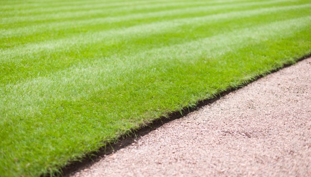 Early adopters praised the gadget’s convenience.