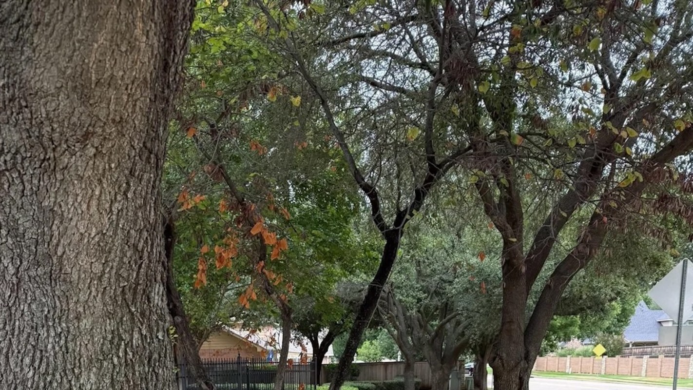 "I’m gonna assume fixing it is gonna be a lot more money."